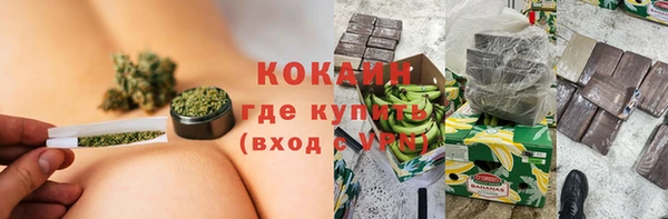 прущий лед Алзамай