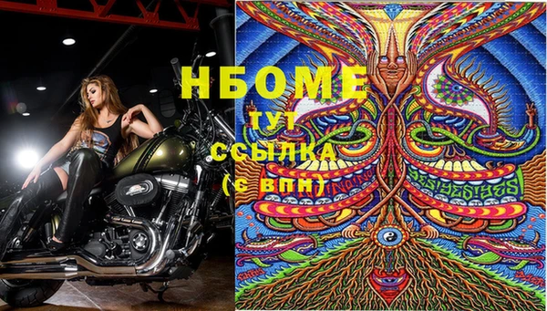 бошки Алексин