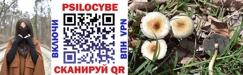 Галлюциногенные грибы Cubensis  Жиздра 