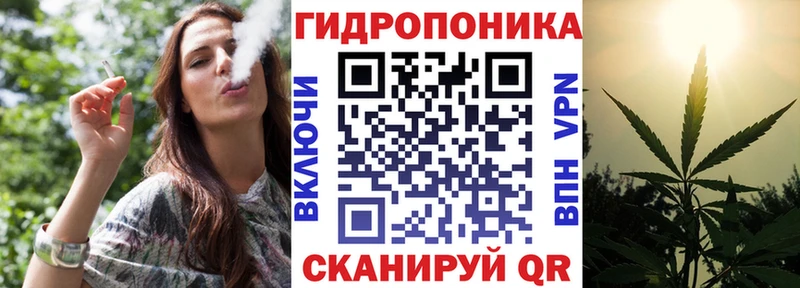 где продают наркотики  Жиздра  Шишки марихуана планчик 